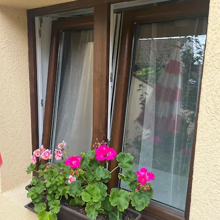 Apartment Kerti Franciaagyas *